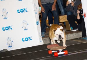 Fan Fest Scotts Mall Cox 2015