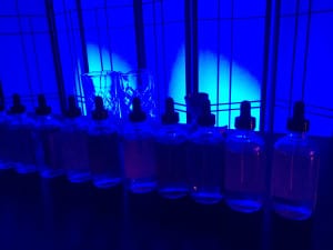 Bombay Journey9 2015