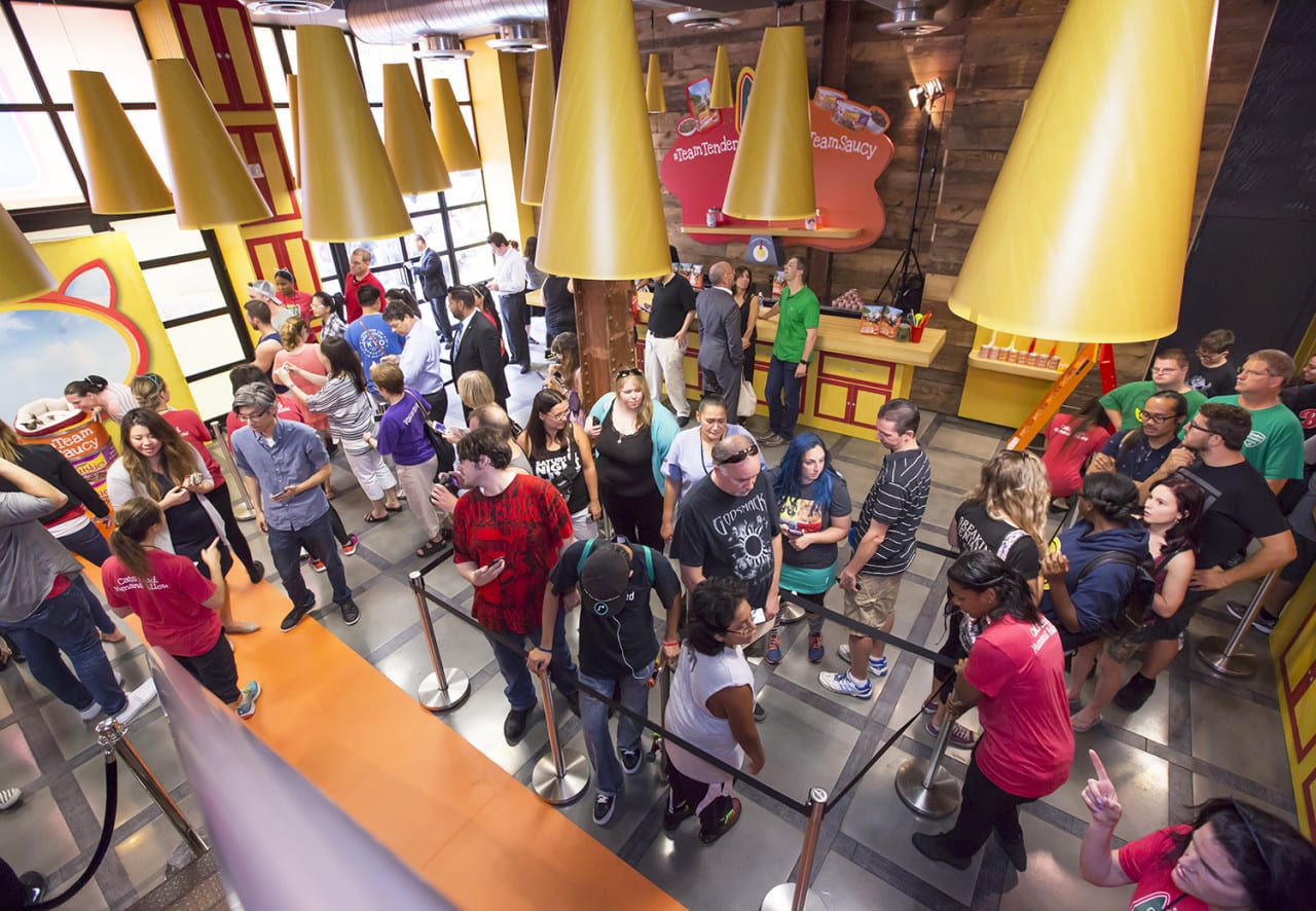 The scene inside the Friskies Create & Taste Kitchen, where cats are "in charge."