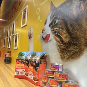 Friskies Kitchen Signage 2015