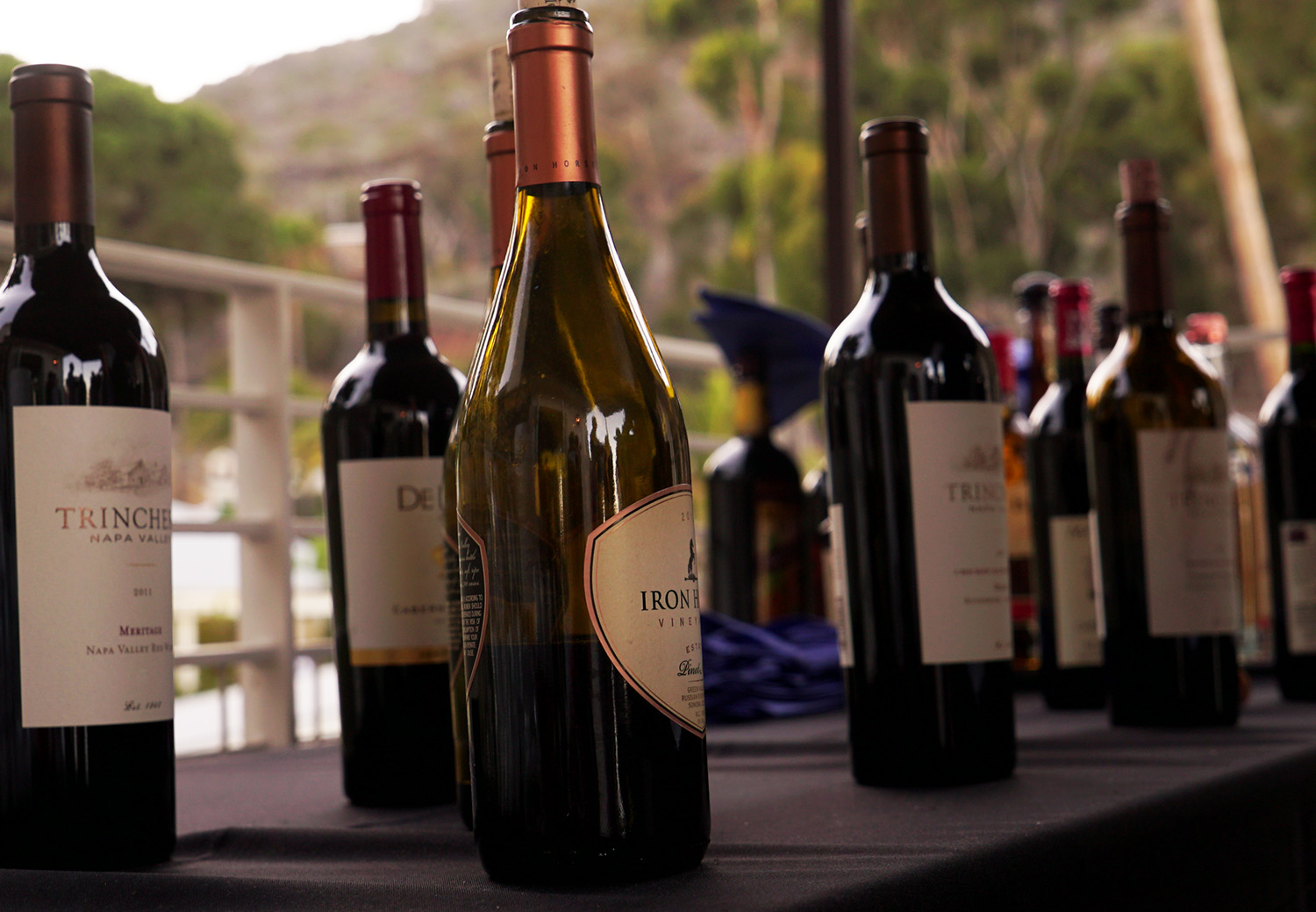 catalina wine mixer