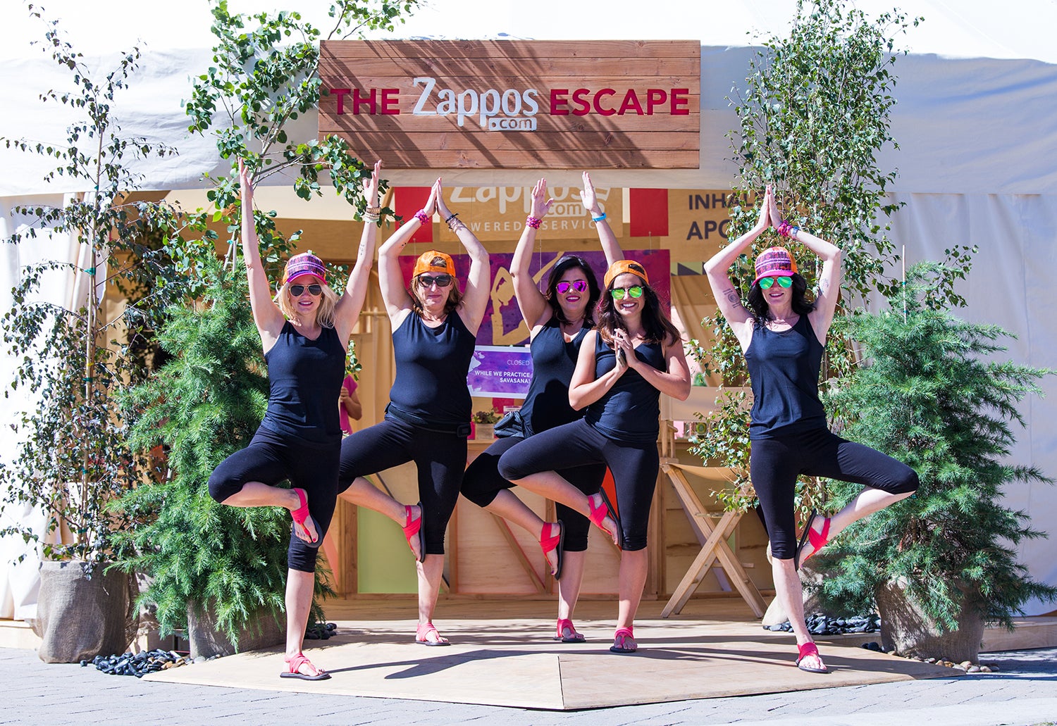 DB_Gold_Zappos_EDA 2015