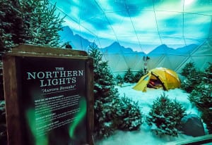 LL Bean_Holidays 2016_5