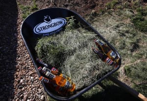 strongbow-orchard_4