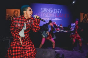 essence_toyota_perform_2018