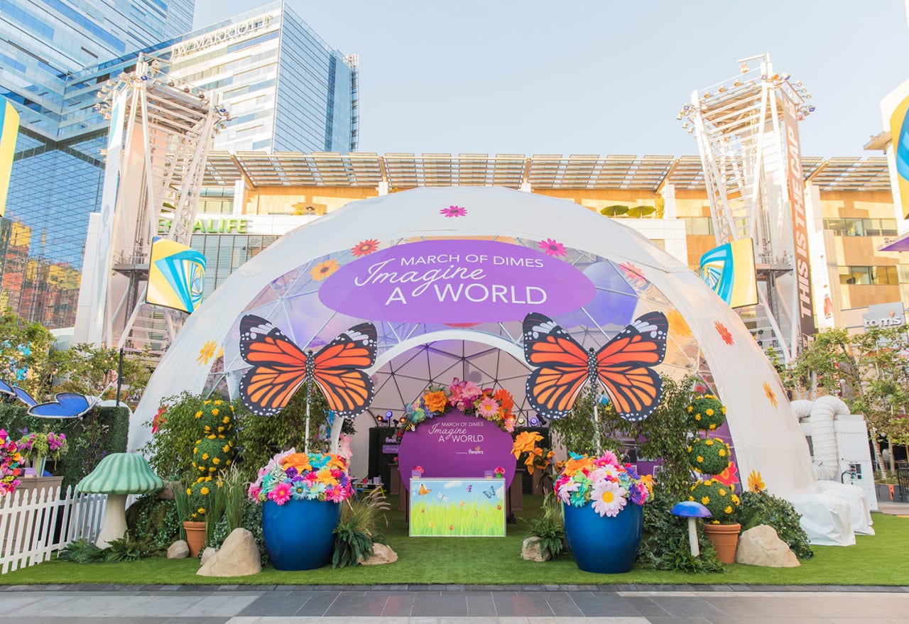 March of Dimes' First Experiential Activation Helps Drive an 80th Anniversary Rebranding