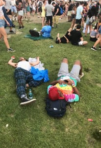 Gov Ball 2018_naps