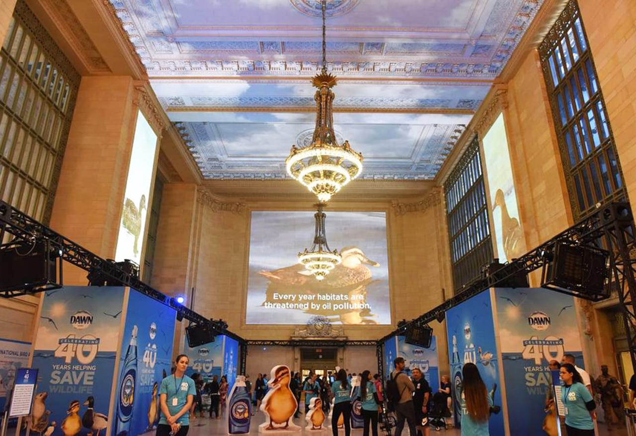 Dawn Celebrates 40 Years of Wildlife Rescues with a Grand Central Terminal Activation