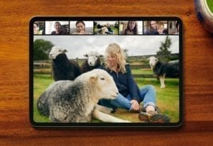 airbnb_experiences_sheep-2020