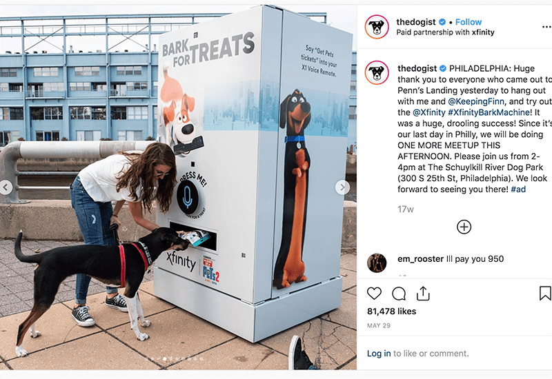 What Is The Dog Channel On Xfinity