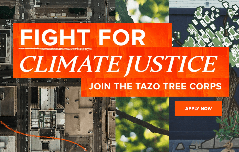 Tazo Tea Embraces Climate Justice With a Tree-Planting Cause Marketing Initiative