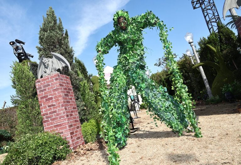 fx-sdcc-2022-walking-tree
