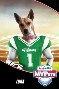 Petsmart_MVPets_Super Bowl 2023_Luna