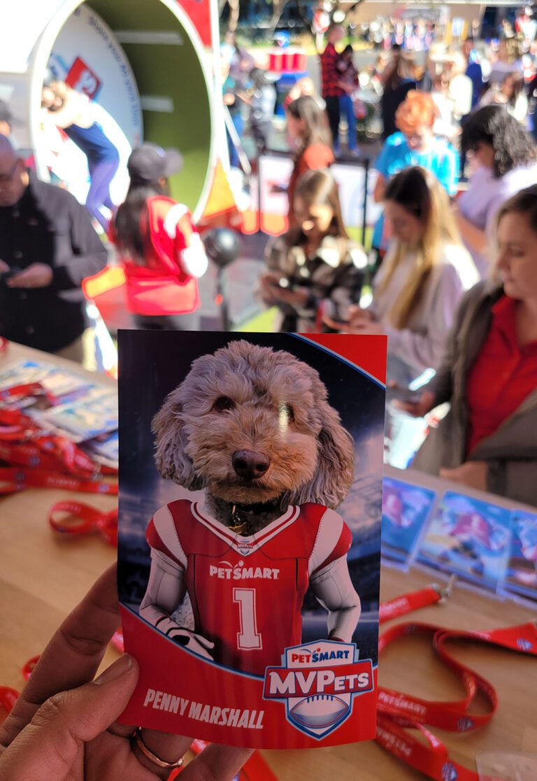 Inside PetSmart's 30stop MVPets TAILgate Tour