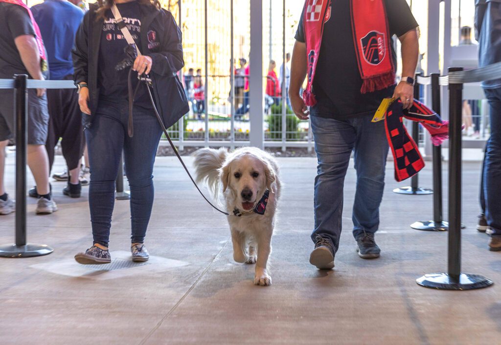 Purina Club_St Louis_2023_Dog entry dog-friendly experiences