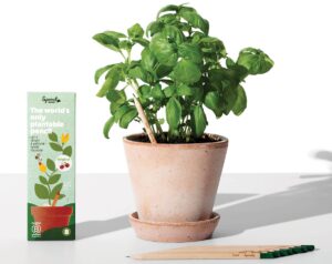 packshot_plant_original - Credit SproutWorld eco-friendly giveaways