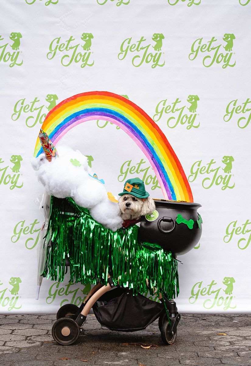 Get joys