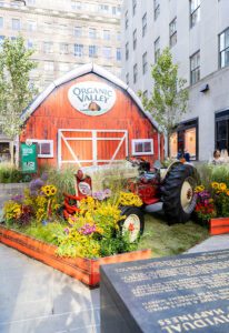 Organic Valley Rock center farmers market_tractor installation