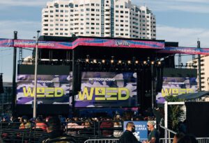 Weed Co._CaliVibes 2024_stage view