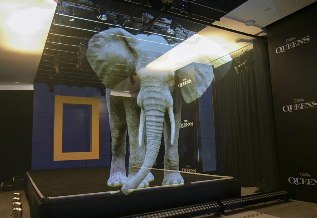 Nat Geo_NYFW 2024_Queens_elephant hologram