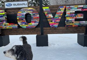 Subaru_WinterFest Village 2024_LOVE Sign