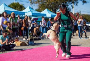 TBS x Ollie_ Pet Tricks Tour_2024_dog jumping trick