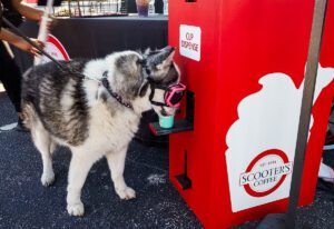 TBS x Ollie_Stupid Pet Tricks Tour_2024_scooters dog coffee dispenser