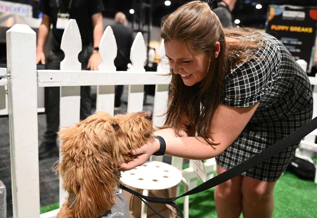 Puppy park at EMS 2024