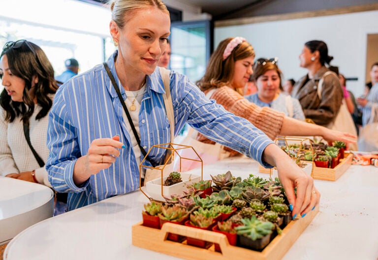 Reese's 100th_bookclub_Taco Bell Cantina_2024_succulents