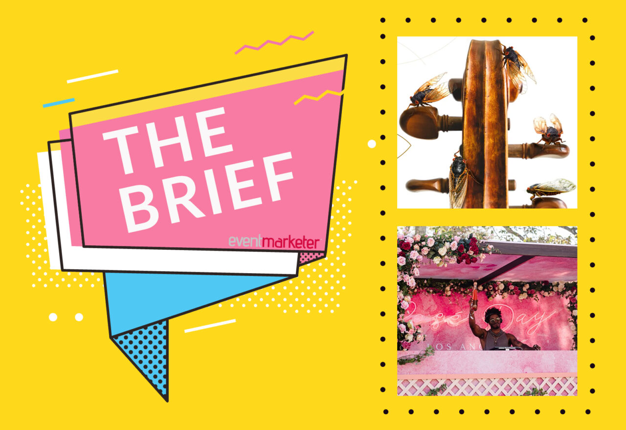 The Brief: A Cicada Symphony and Rosé for Days