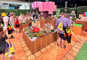 VidCon 2024 Minecraft booth