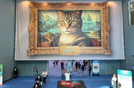 VMX show floor entrance with cat art