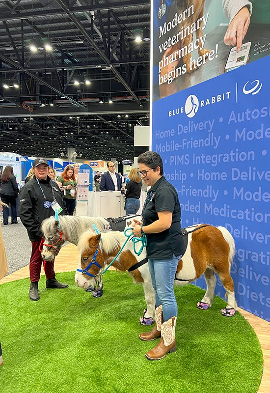 Ponies on the VMX show floor