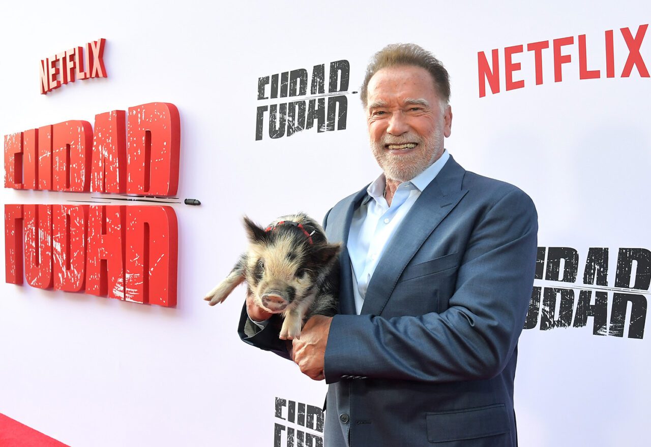 netflix-fubar-season-two-premiere-schwartzenegger-with-stunt-pig