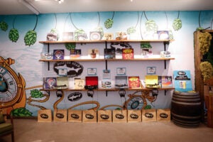 dogfish head vinyl 30 minute time bank