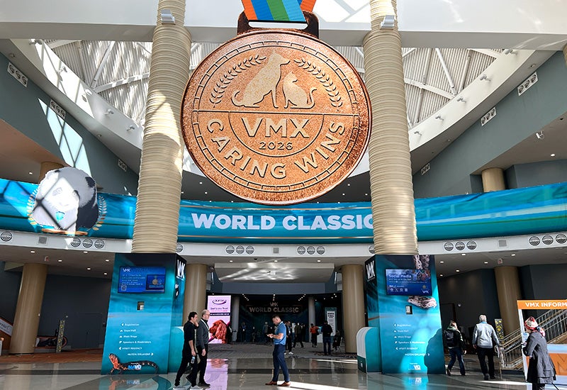 VMX 2026 Entrance