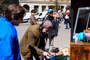 PegAg_ pet ASMR popup_nyc_2026_eventmarketer_8