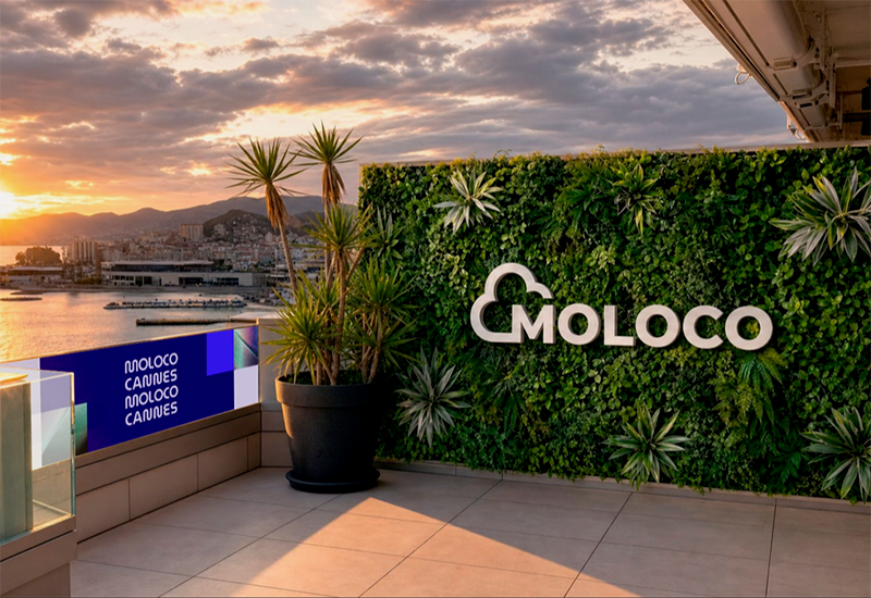 cannes lions 2026 preview moloco penthouse