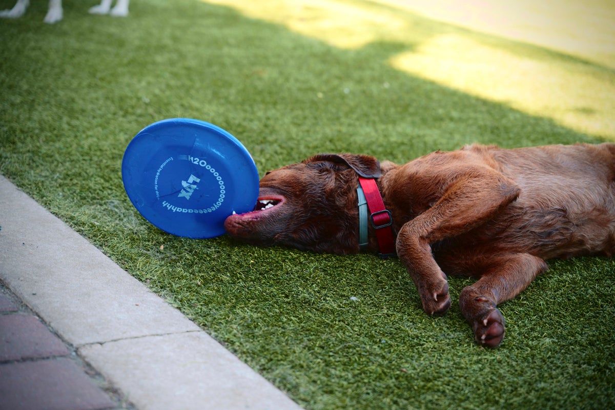 LYX Hydration_AKC 250_eventmarketer_3