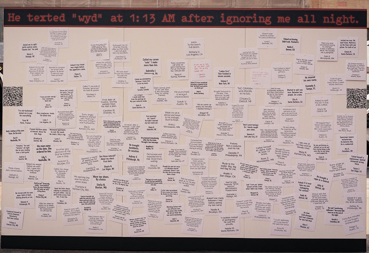 Womanizer's Wall of Red Flags